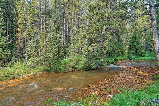 3938 County Road 60, Grant, CO 80448 - view of tree filled area