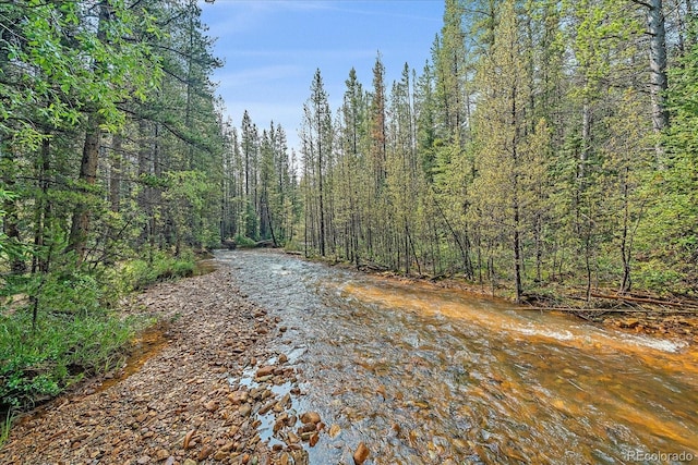 3938 County Road 60, Grant, CO 80448 - view of street featuring a forest view