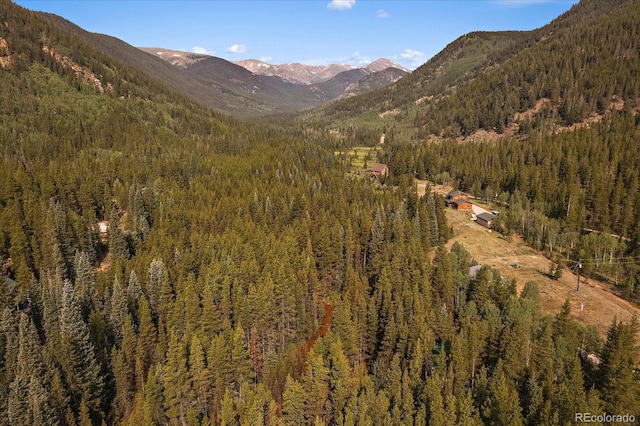 3938 County Road 60, Grant, CO 80448 - view of mountain backdrop with a forest