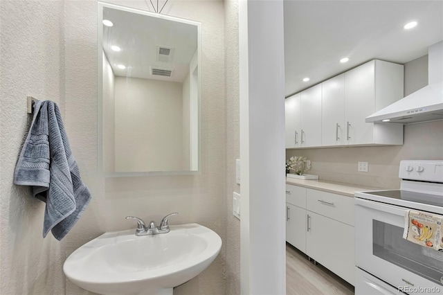 bathroom featuring sink and hardwood / wood-style floors