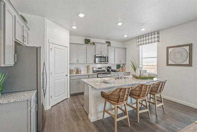 kitchen with gray cabinetry, a kitchen island with sink, and stainless steel appliances