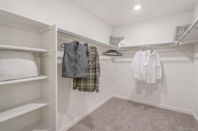 spacious closet with carpet flooring