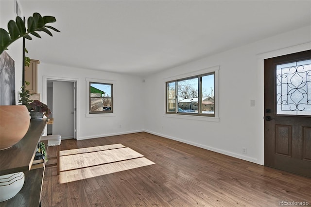 entrance foyer featuring dark wood-type flooring and a wealth of natural light