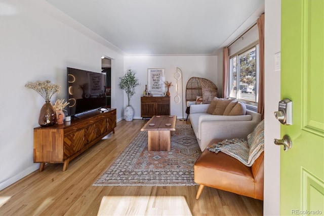 living room featuring light wood-type flooring