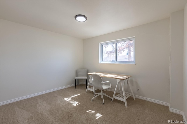 office space featuring carpet and baseboards