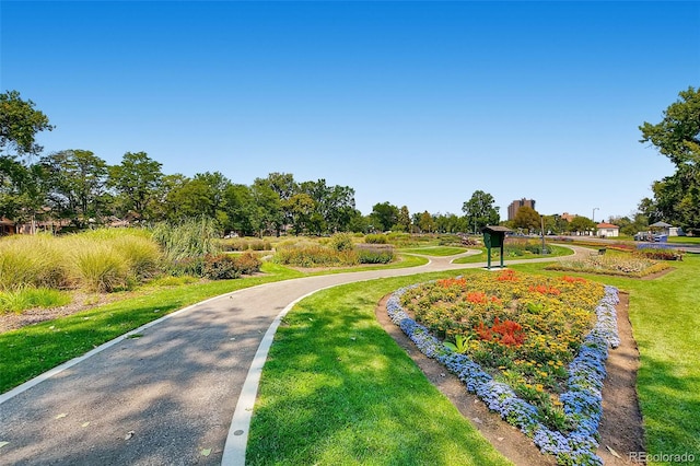 view of property's community featuring a yard