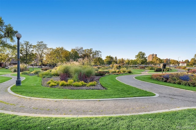 view of property's community with a yard