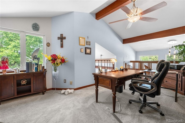7300 W Stetson Pl Unit 46, Littleton, CO 80123 - carpeted office space featuring plenty of natural light, ceiling fan, and baseboards