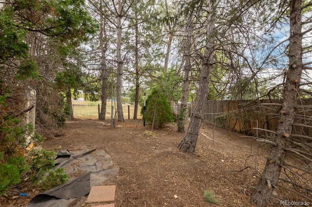 907 Yucca Ct, Longmont, CO 80504 - photo 5