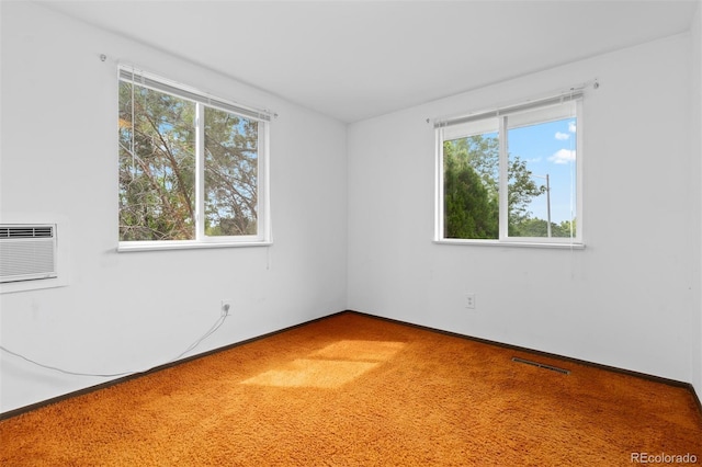 907 Yucca Ct, Longmont, CO 80504 - photo 16