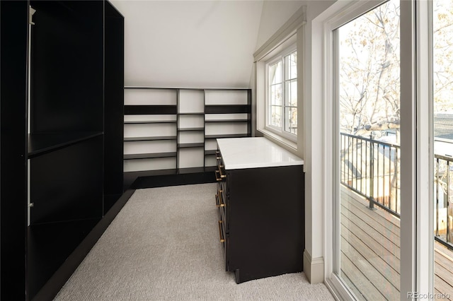 3142 W 26th Ave, Denver, CO 80211 - walk in closet with light colored carpet