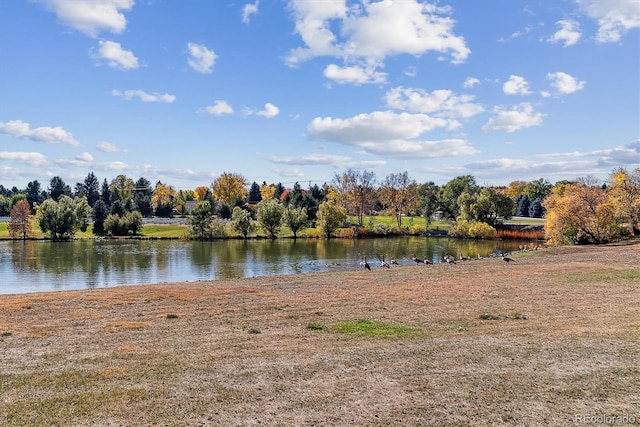 property view of water