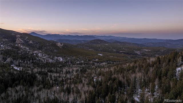 mountain view with a forest