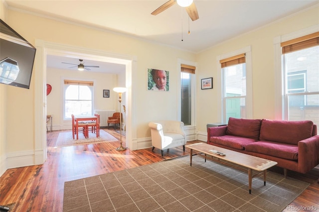 living room with dark hardwood / wood-style flooring, ceiling fan, and radiator heating unit