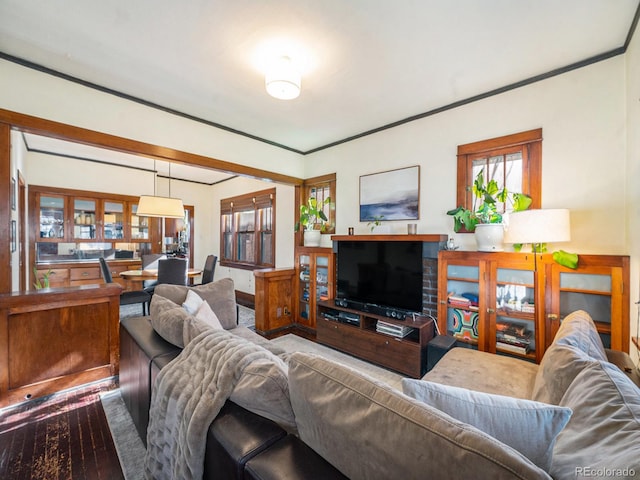 living room featuring ornamental molding and hardwood / wood-style flooring