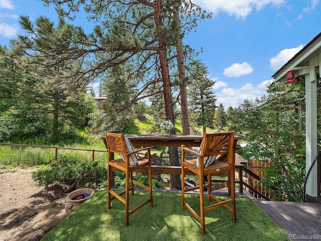27385 Spruce Ln, Evergreen, CO 80439 - view of yard