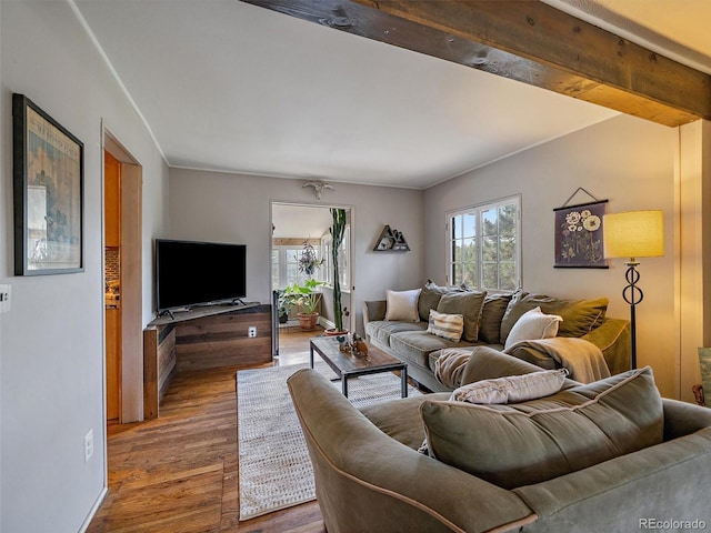 27385 Spruce Ln, Evergreen, CO 80439 - living area featuring healthy amount of natural light and wood finished floors