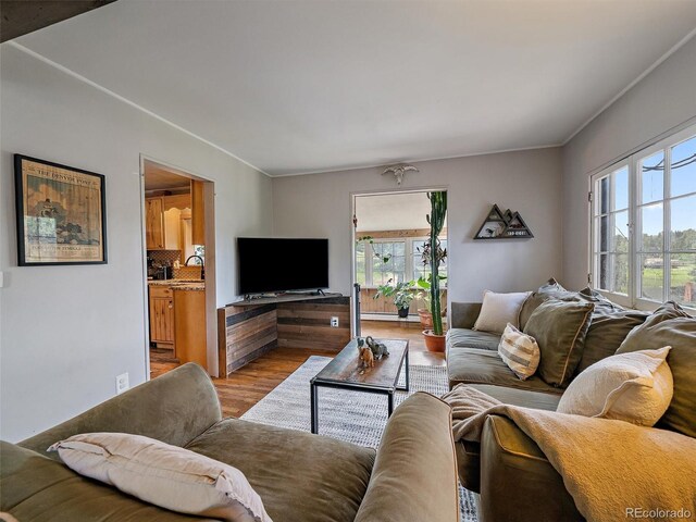 27385 Spruce Ln, Evergreen, CO 80439 - living area featuring plenty of natural light, wood finished floors, and crown molding