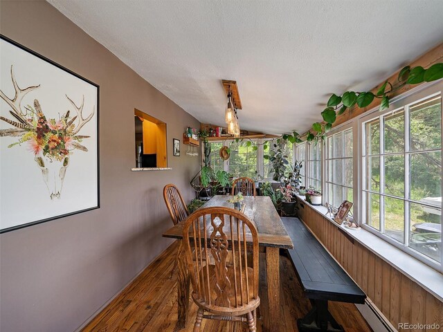 27385 Spruce Ln, Evergreen, CO 80439 - sunroom with hardwood / wood-style flooring, a textured ceiling, plenty of natural light, a baseboard radiator, and vaulted ceiling