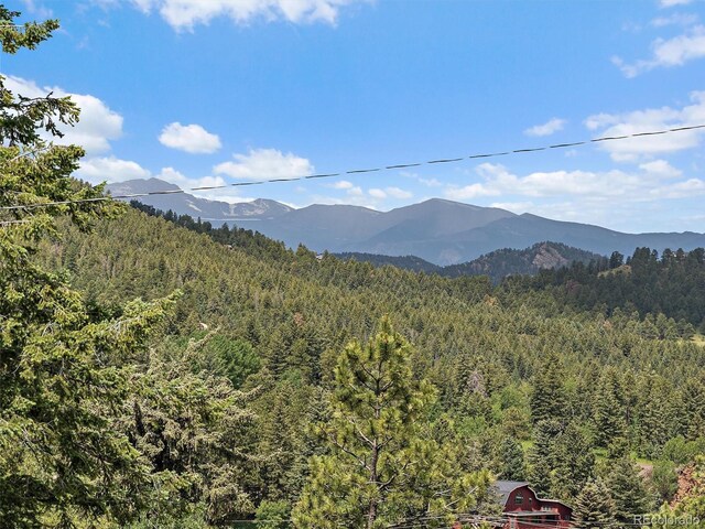 27385 Spruce Ln, Evergreen, CO 80439 - mountain view featuring a heavily wooded area