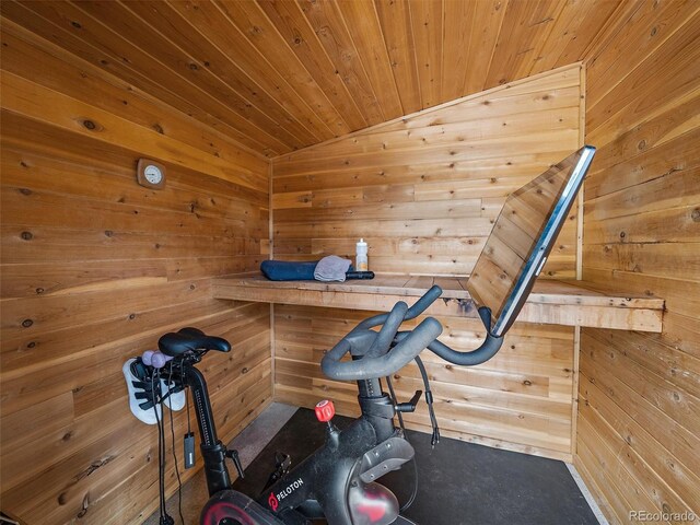 27385 Spruce Ln, Evergreen, CO 80439 - workout room with a relaxing sauna, wooden walls, and vaulted ceiling