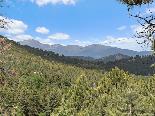 27385 Spruce Ln, Evergreen, CO 80439 - view of mountain backdrop with a heavily wooded area