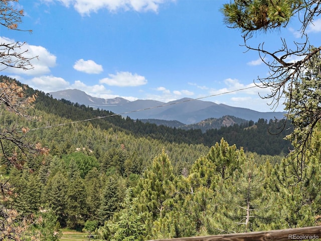27385 Spruce Ln, Evergreen, CO 80439 - mountain view featuring a heavily wooded area