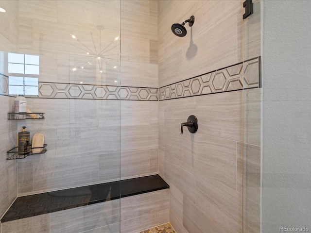 1291 Fountain Ln, Erie, CO 80516 - bathroom with tiled shower