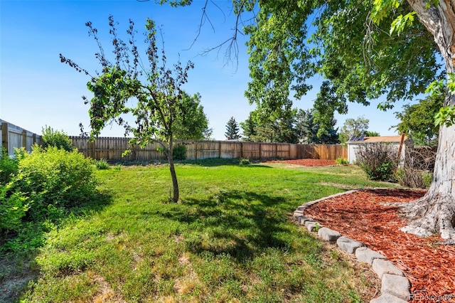 7565 Newland St, Arvada, CO 80003 - view of fenced backyard