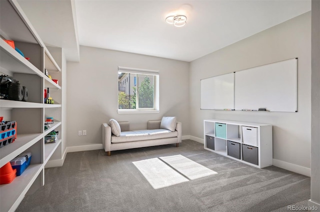 2136 S Juniper St, Lakewood, CO 80228 - living area with carpet floors and baseboards