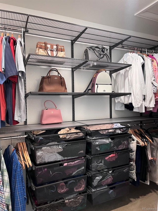 9170 Fox Fire Dr, Highlands Ranch, CO 80129 - walk in closet with carpet flooring