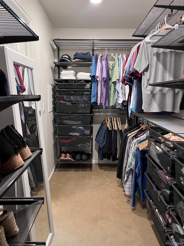 9170 Fox Fire Dr, Highlands Ranch, CO 80129 - spacious closet featuring carpet