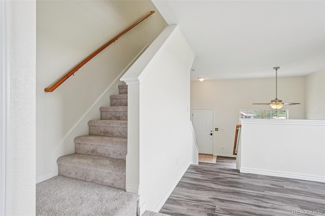 715 Elm St, Frederick, CO 80530 - photo 16