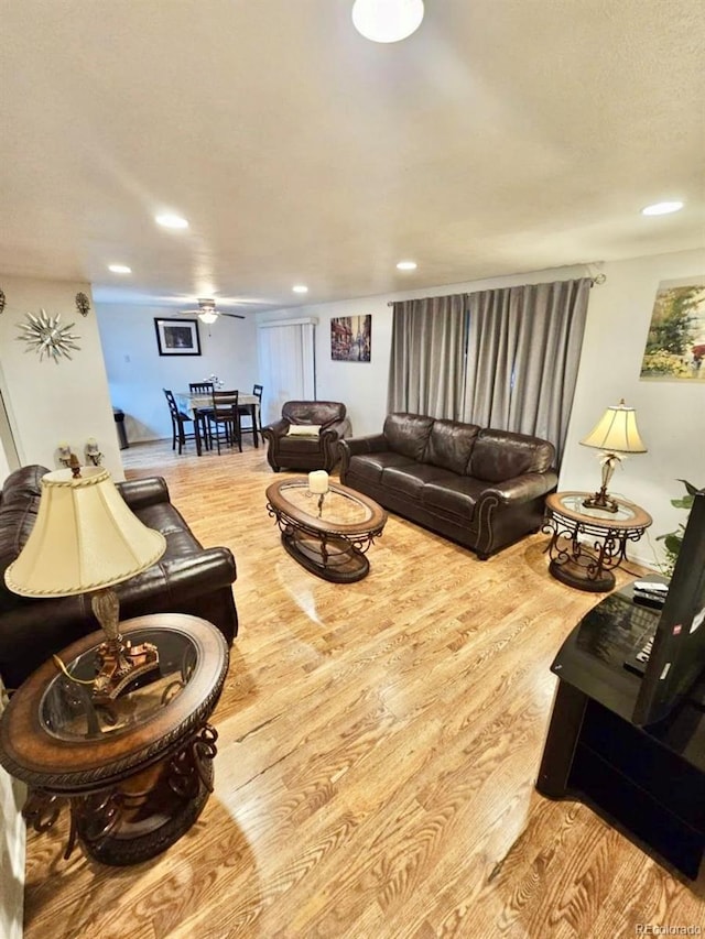 living room featuring light hardwood / wood-style flooring