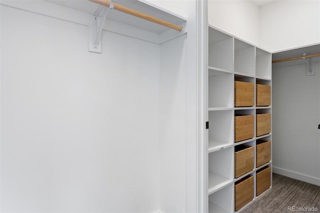 walk in closet featuring wood-type flooring