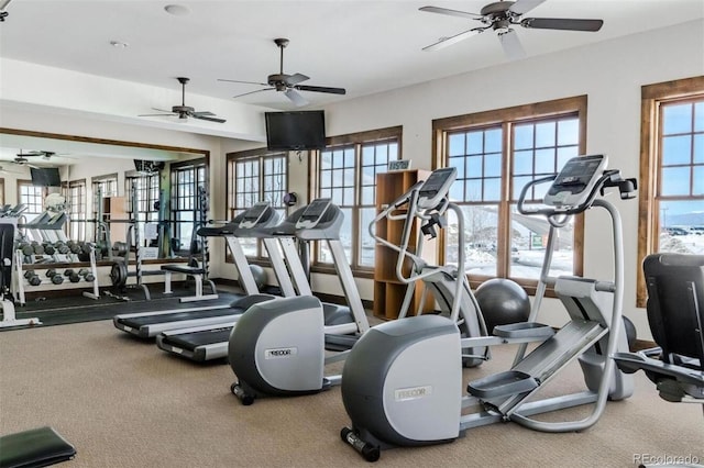 workout area featuring carpet and ceiling fan