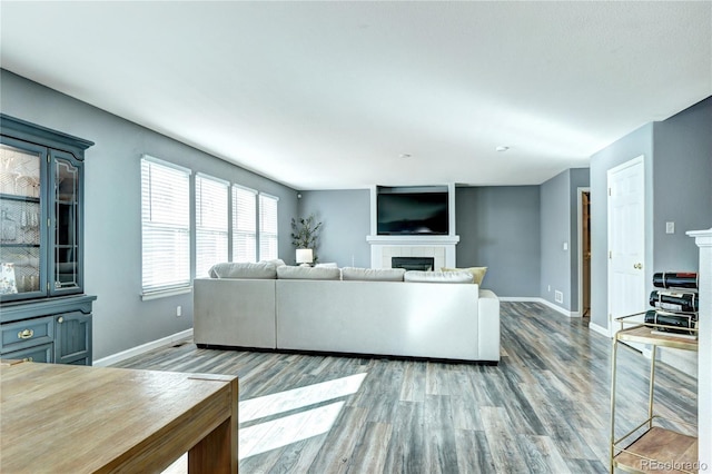 living room featuring a fireplace, baseboards, and wood finished floors