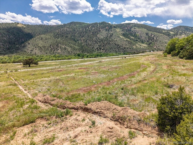 Rocky Mountain Rd, Salida, CO 81201 - photo 10