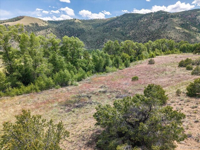 Rocky Mountain Rd, Salida, CO 81201 - photo 11