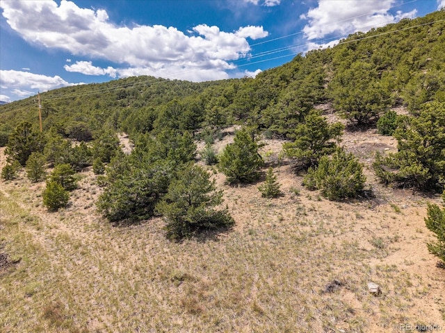 Rocky Mountain Rd, Salida, CO 81201 - photo 14