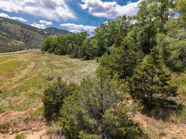 Rocky Mountain Rd, Salida, CO 81201 - photo 15