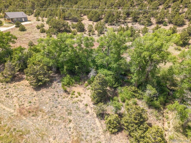 Rocky Mountain Rd, Salida, CO 81201 - photo 16