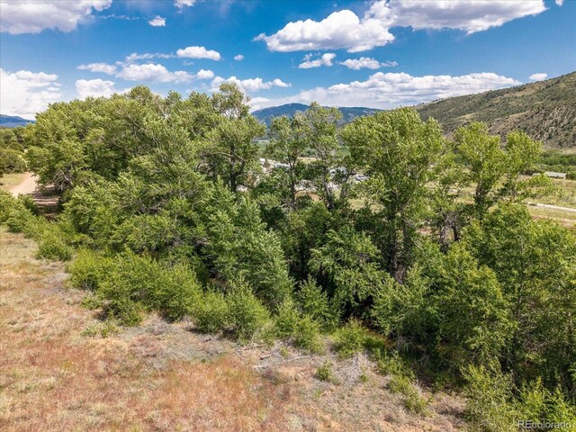 Rocky Mountain Rd, Salida, CO 81201 - photo 18