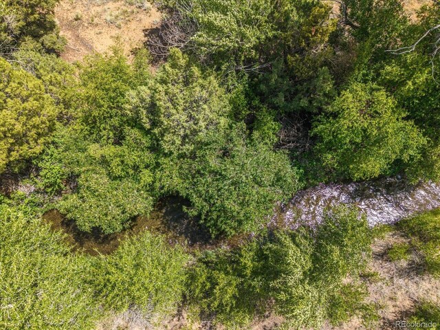 Rocky Mountain Rd, Salida, CO 81201 - photo 21