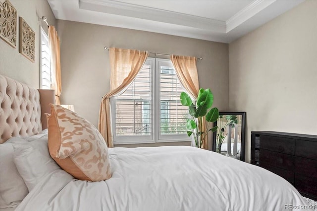 bedroom featuring crown molding and a tray ceiling