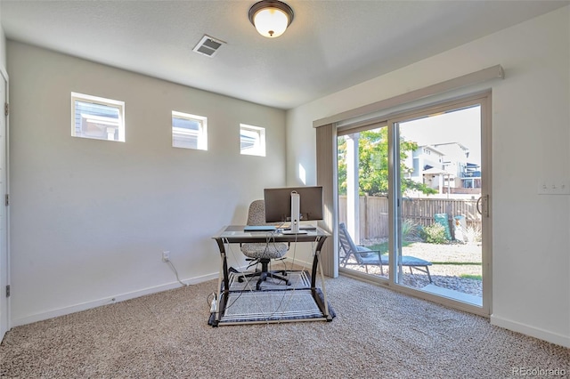 4418 Elegant St, Castle Rock, CO 80109 - photo 10