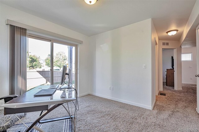 4418 Elegant St, Castle Rock, CO 80109 - photo 11