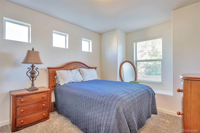 4418 Elegant St, Castle Rock, CO 80109 - photo 13