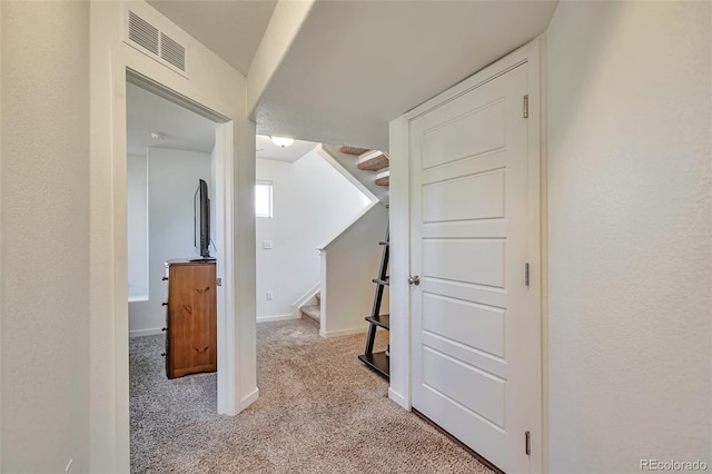 4418 Elegant St, Castle Rock, CO 80109 - photo 15