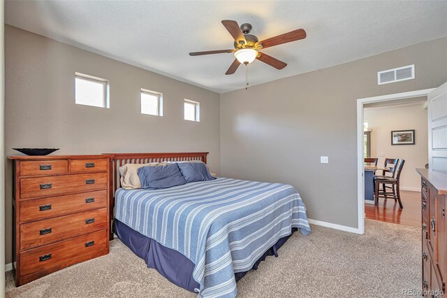 4418 Elegant St, Castle Rock, CO 80109 - photo 22